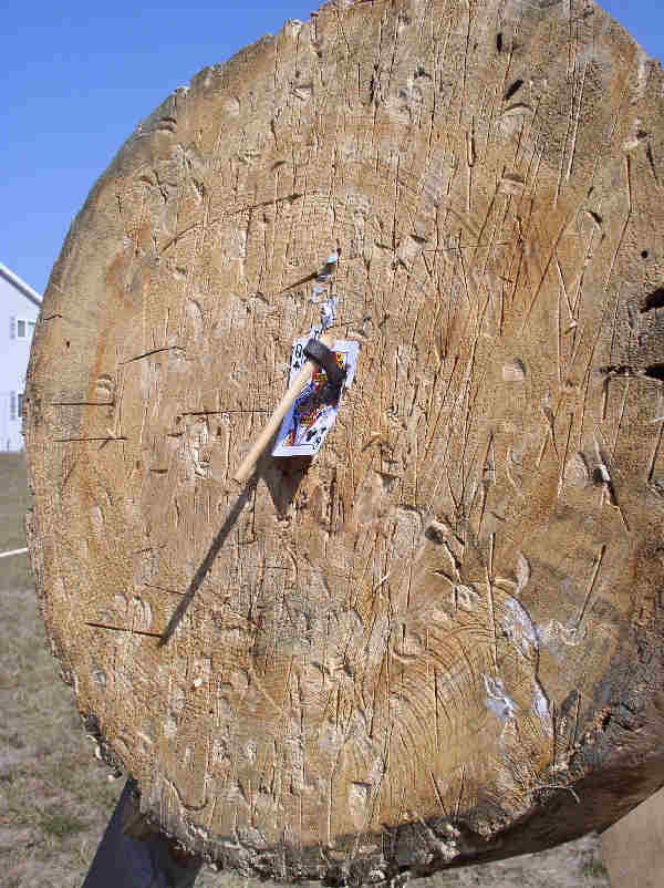 Tiny Tomahawk stuck in target